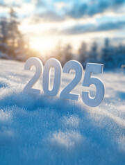 2025ͼƬ