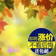 秋季电商主图图片素材下载