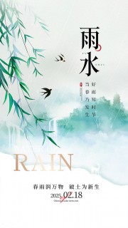 中国传统节气雨水广告