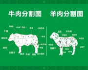 牛肉分割羊肉分割图片下载