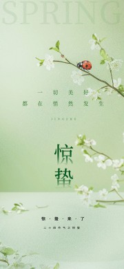 二十四节气惊蛰海报