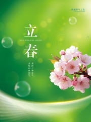 绿色立春节气海报