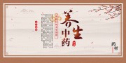 中医养生文化海报图片