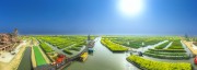 宽幅金色的水上油菜花海田园风光