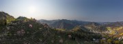 宽幅梯田茶园春色与山村风光摄影图片素材