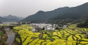 宽幅徽州梯田田园油菜花开春天图片素材