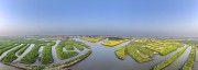 航拍江苏泰州兴化千垛油菜花海全景