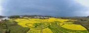 江南金色田野上的幸福春天油菜花图片