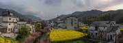 宽幅古徽派村落的田园春色风景摄影图片