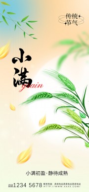 二十四节气小满海报同品牌