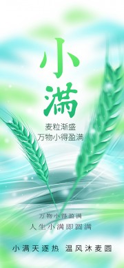小满节气广告设计