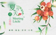 夏日荔枝插画水果宣传海报