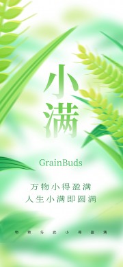简约小满节气海报图片素材