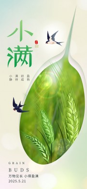 清新二十四节气小满海报
