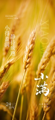 二十四节气之小满节气摄影图广告