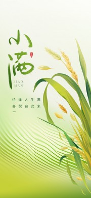 小满二十四节气广告