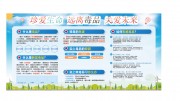 珍爱生命远离毒品宣传栏