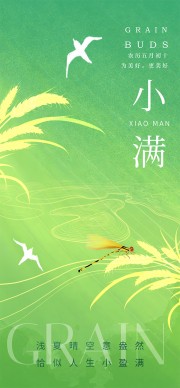 传统小满节气海报图片素材