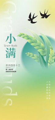 二十四节气小满海报