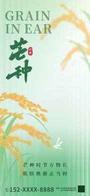 芒种节气广告