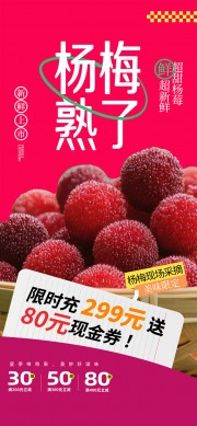 杨梅熟了夏季水果促销海报