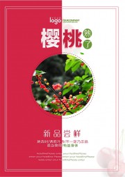 樱桃采摘促销海报