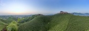 宽幅壮丽的茶山日出美景图片