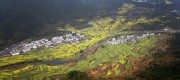 鸟瞰梯田油菜花与村落风光全景图