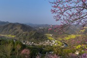 桃花掩映下的皖南村落风光图片素材