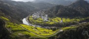 山水油菜花海间的皖南村落春天风景图片