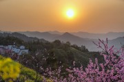 日出山间桃花烂漫春天风景图片