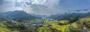 宽幅梯田油菜花海的乡村风光