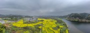 宽幅皖南油菜花田风光