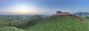 宽幅梯田茶园观景台晨曦风景摄影
