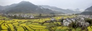 宽幅皖南油菜花田间的古村落春天风景图片素材