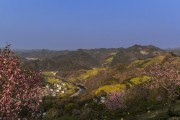 春日山村的田园牧歌风景图片素材