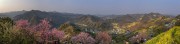 宽幅春日山野烂漫花开里的皖南山村春天风景图片素材