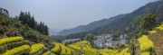 宽幅梯田油菜花海间的村庄图片素材下载