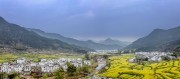 春日徽州油菜花田园风光春天风景