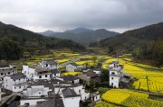 皖南油菜花田间的古村落春天风景图片素材