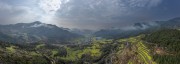 宽幅梯田油菜花海田园风光图片下载