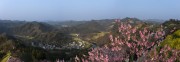 宽幅春日皖南山村桃花盛景摄影图片素材