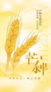 芒种节气宣传海报图片