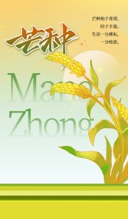 芒种节气海报图片素材