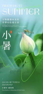 二十四节气小暑海报