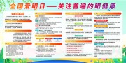 卡通风2025年全国爱眼日宣传展板