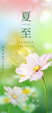 夏至节气海报图片素材夏至
