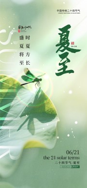 夏至节气海报