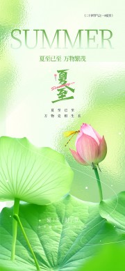 夏至已至万物竞相生长绿色清新夏至海报图片