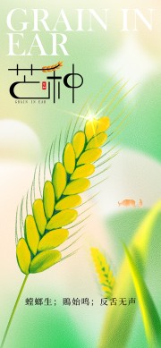 芒种节气广告图片